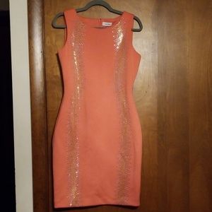 Calvin Klein Studded Dress